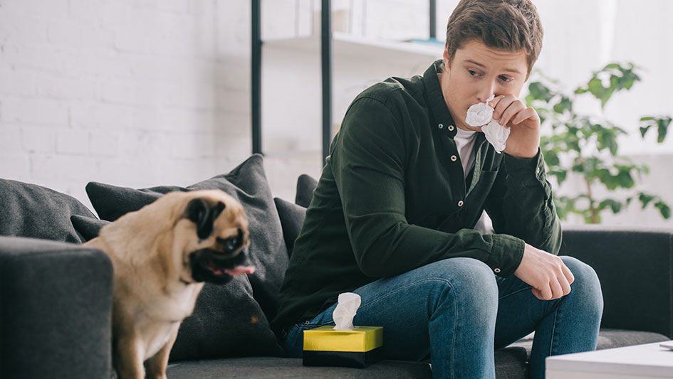 Getting an air purifier is one of the smartest approaches to improve your residence’s indoor air quality. Find out more about the three best products. 